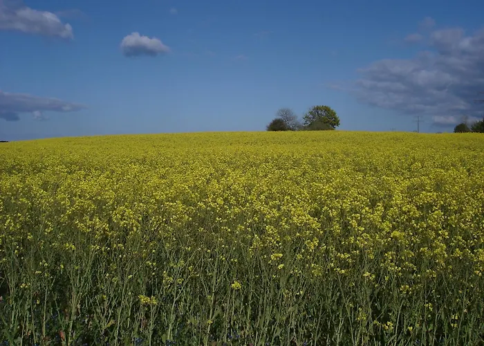Norddachhaus Casa de Férias *