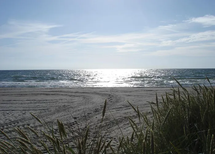 Casa de Férias Norddachhaus